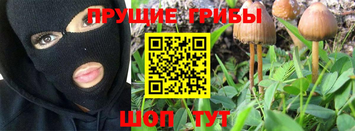 Таганрог  Псилоцибиновые грибы GOLDEN TEACHER  Вход с VPN  Галлюциногенные грибы прущие грибы 