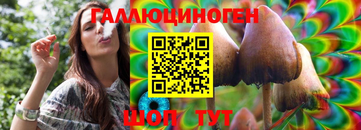 Псилоцибиновые грибы мухоморы Таганрог