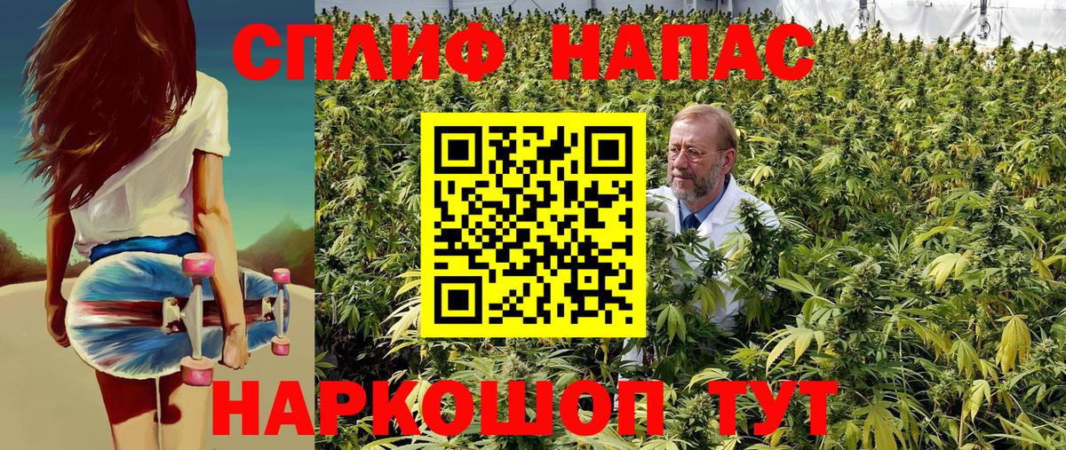 МАРИХУАНА SATIVA & INDICA  Вход с VPN  Канабис Bruce Banner  Марихуана план  Таганрог 